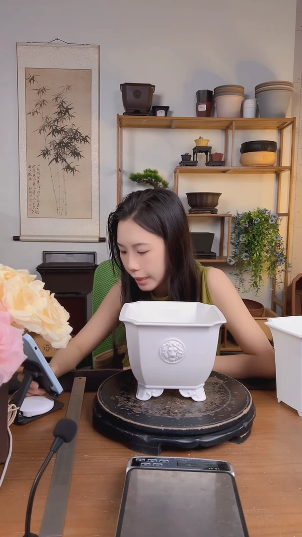 21*16狮头浮雕3只茶白