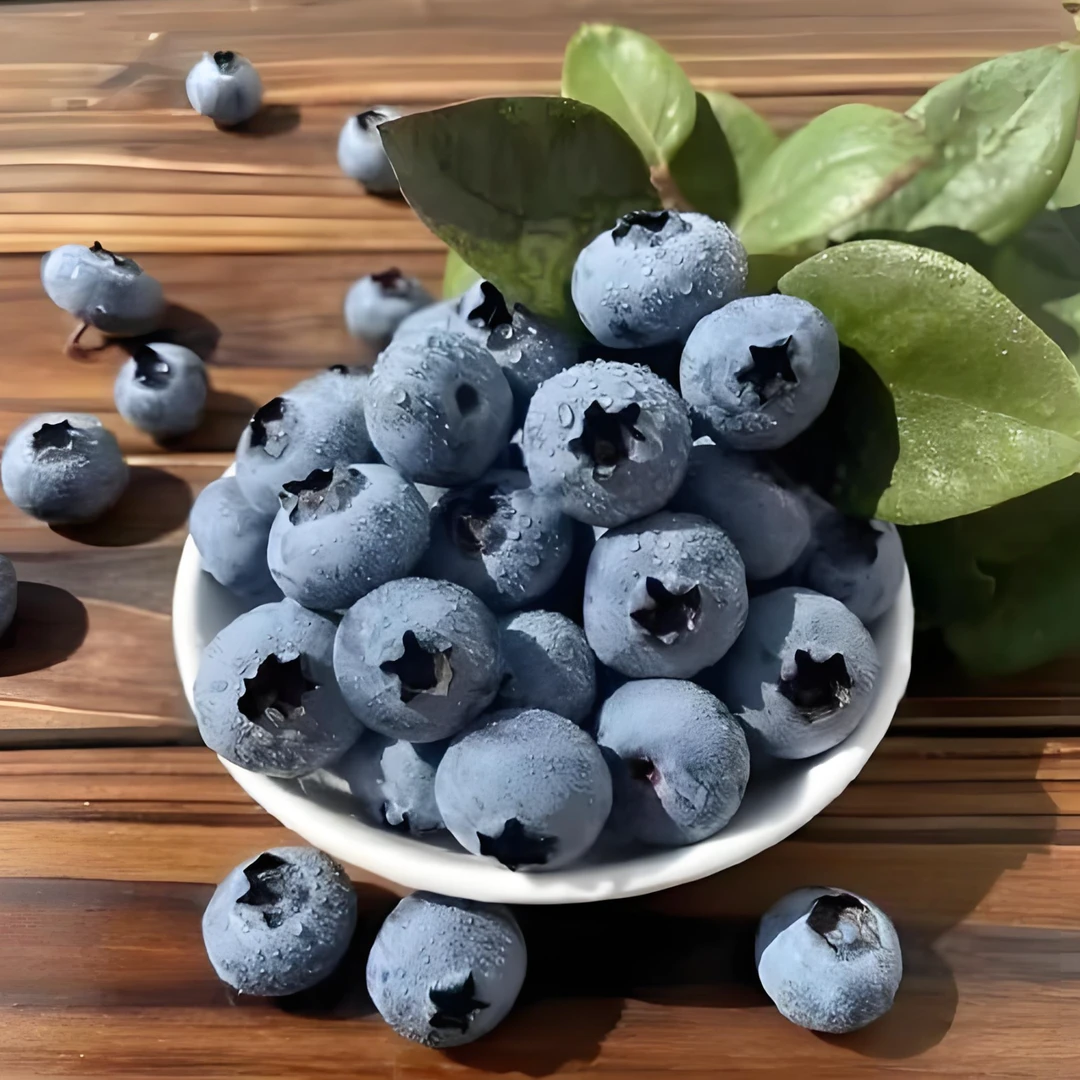 云南高原明珠抚仙湖花香蓝莓鲜果水果批发整箱产地直发