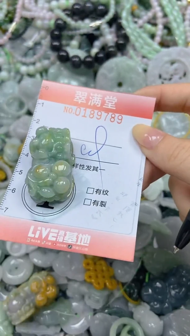 颈饰未镶嵌翡翠闪购0189789