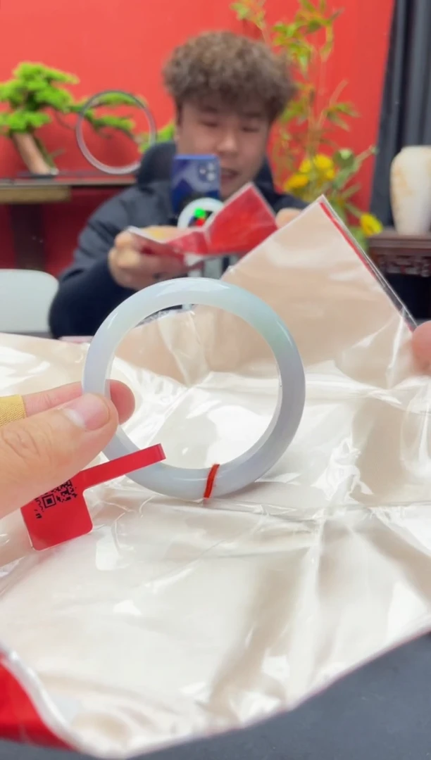 未镶嵌手镯翡翠2