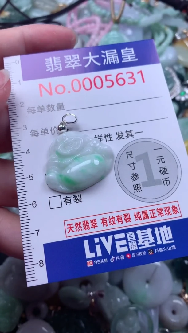 翡翠未镶嵌吊坠(不含链)5631