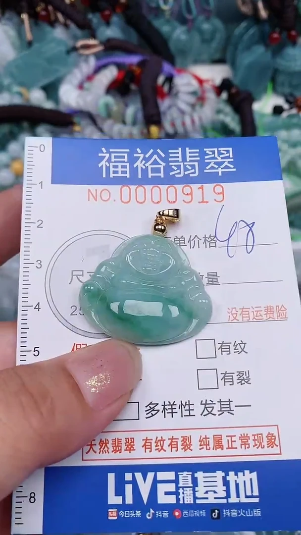 翡翠未镶嵌颈饰...0000919