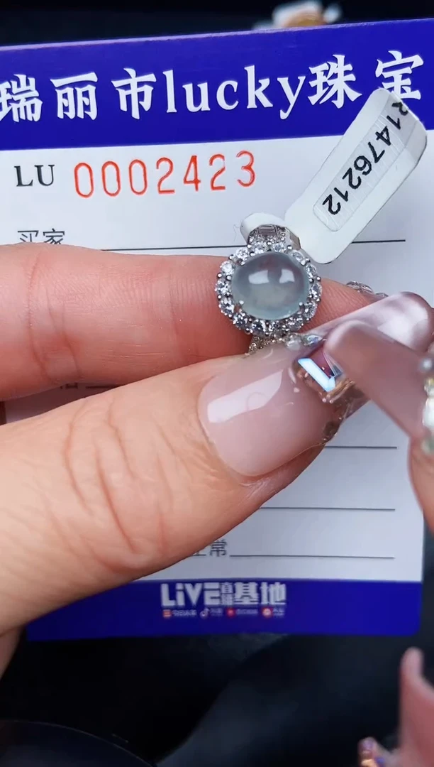 翡翠银S925镶嵌颈饰2423