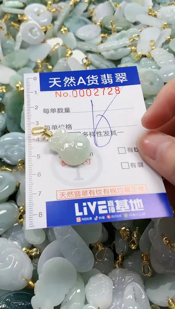 颈饰未镶嵌翡翠纯天然a货翡翠