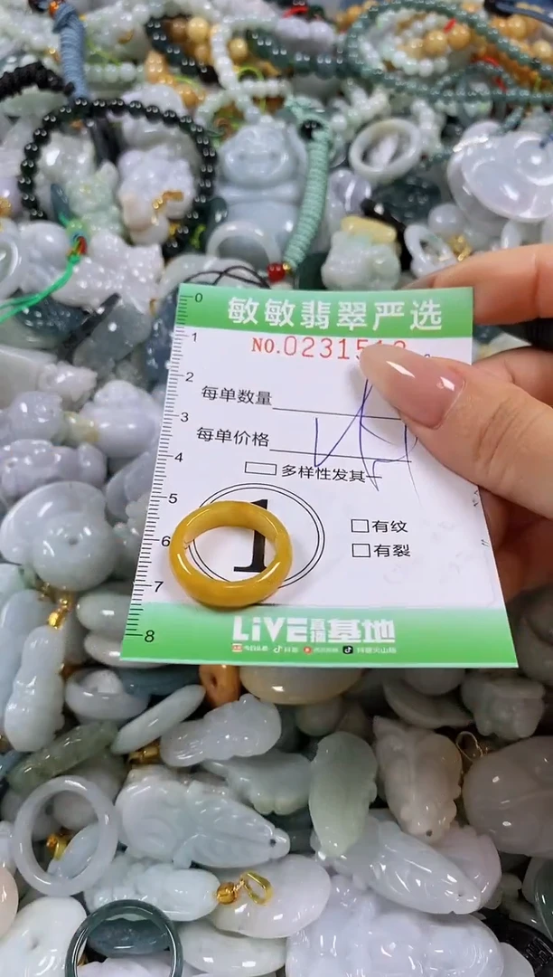 翡翠未镶嵌颈饰闪购0231513