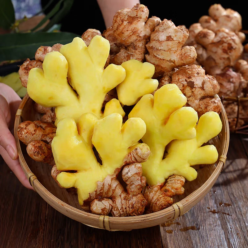 现挖小黄姜净重3斤装24年新姜生姜整块生鲜源头直发包邮