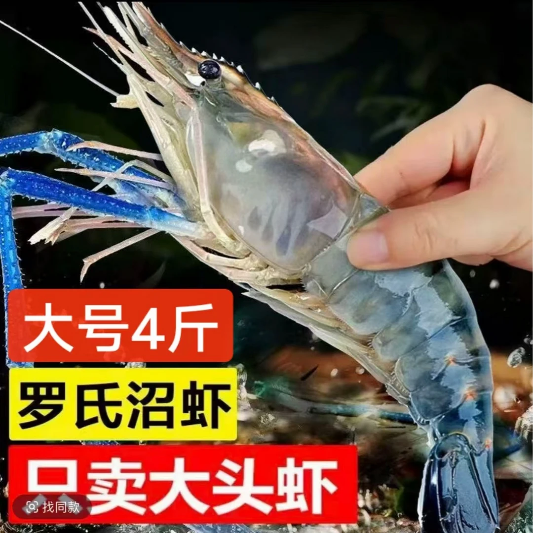 4斤大个头新鲜罗氏虾 一斤15-17只左右 顺丰冷链 fs