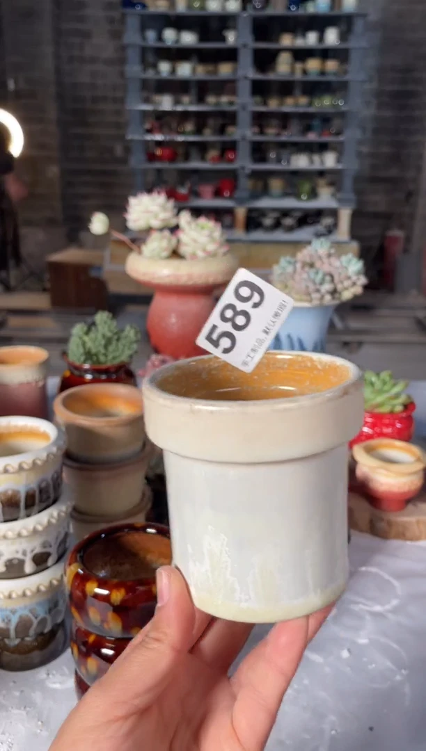 瓷片589小芳直播编号