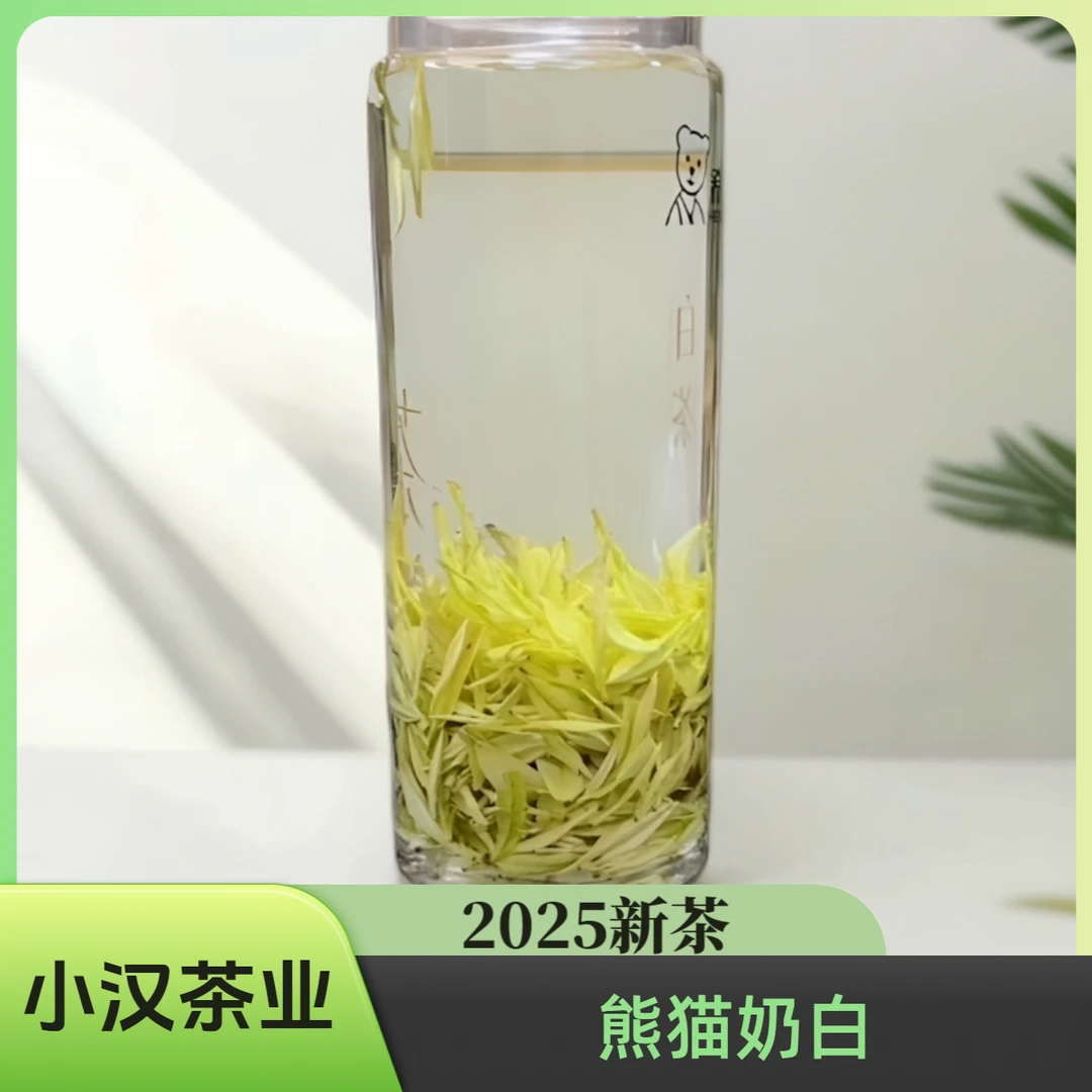 2025【熊猫奶白】A35开园头采新茶 熊猫奶香白茶