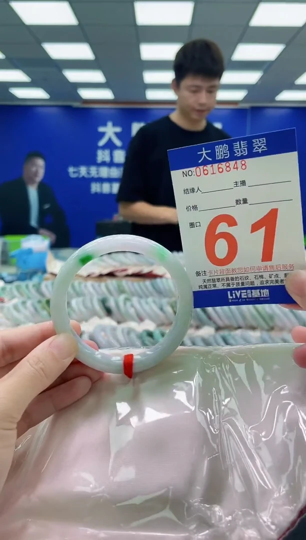 未镶嵌手镯翡翠AAAAAAAAA