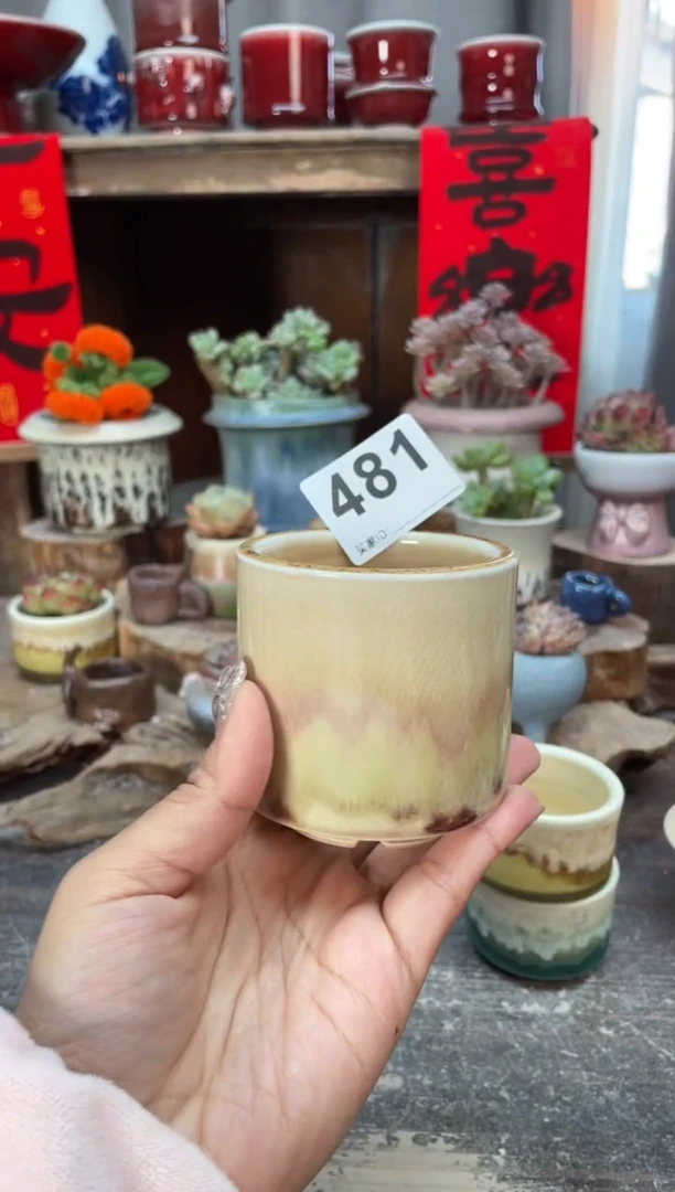 【闪购商品】摆件481知木小芳花盆