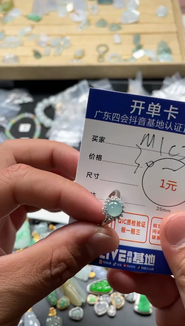 颈饰未镶嵌翡翠M**3挂件