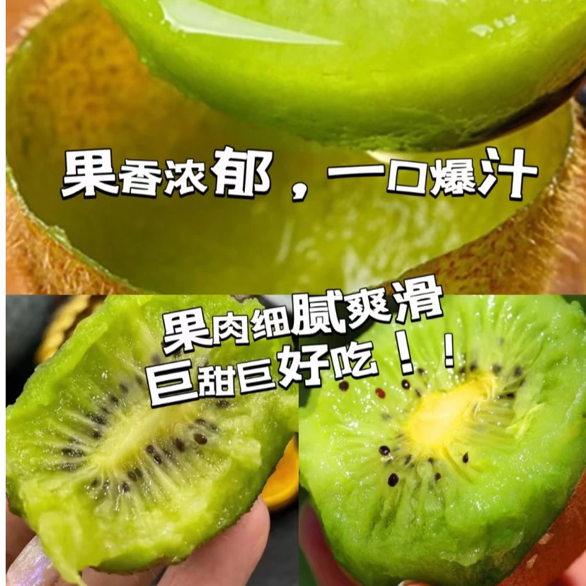 【买满50元包邮】即食猕猴桃两盒共10颗约2斤