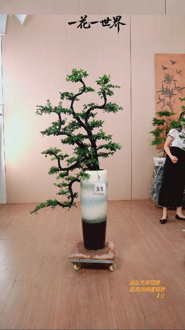 无花朵老*【闪购链接】51号链接
