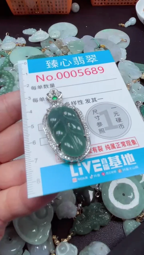 颈饰未镶嵌翡翠5689