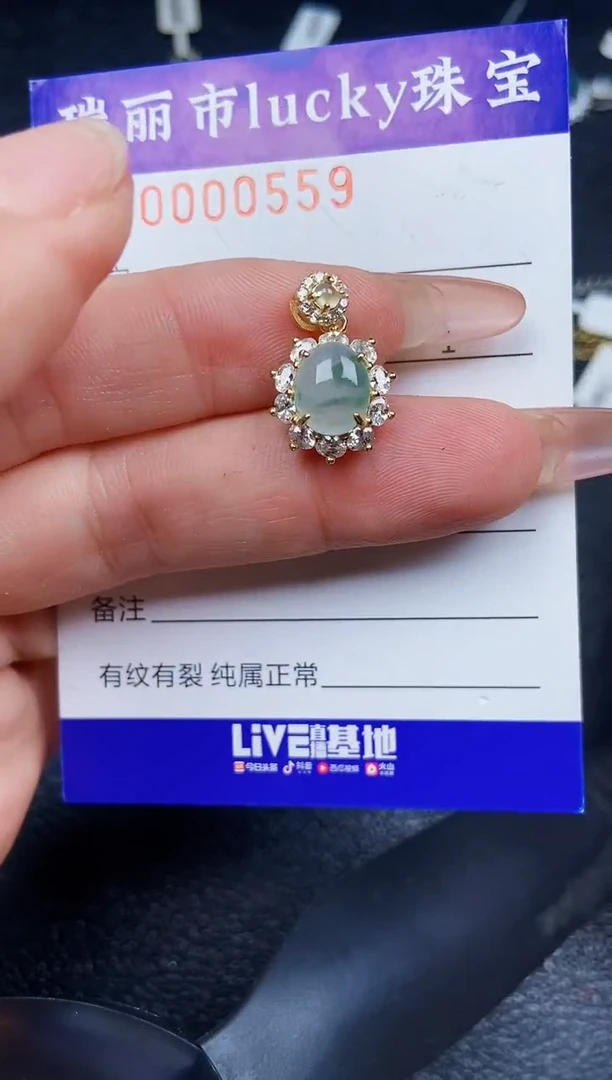 翡翠银S925镶嵌颈饰0559