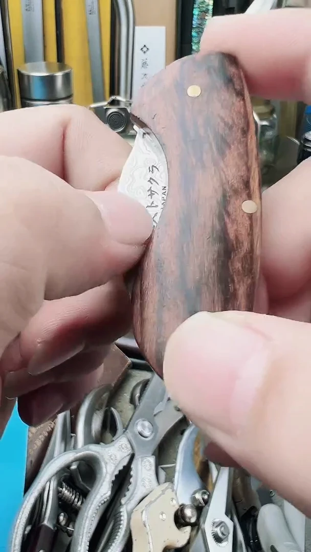瓷片瓷片东京很热杂货正品保证