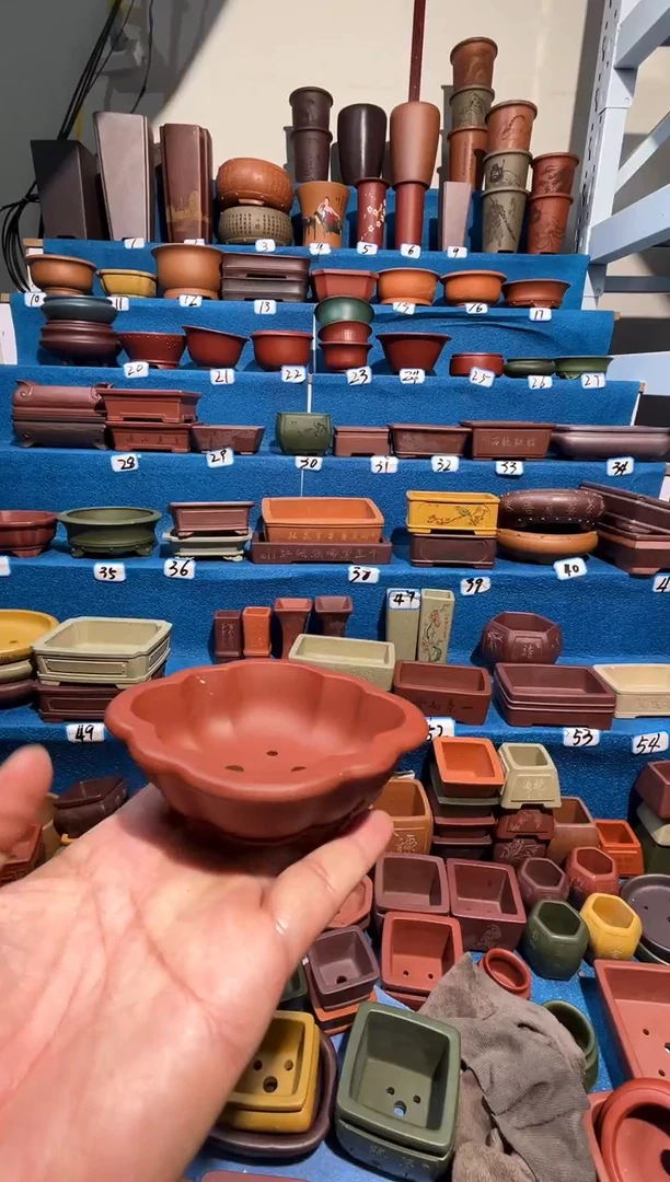 【闪购商品】紫砂紫砂花盆9.8*8.5*2.5