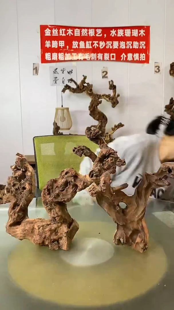 香榧木黑*瑰金丝红木 羊蹄甲2