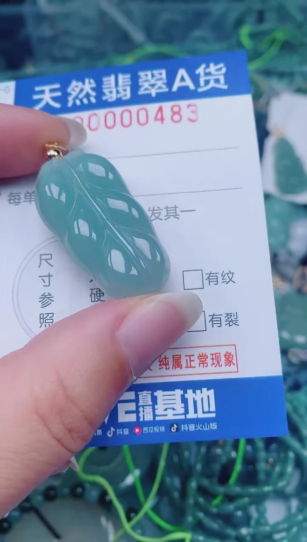 颈饰未镶嵌翡翠00000483