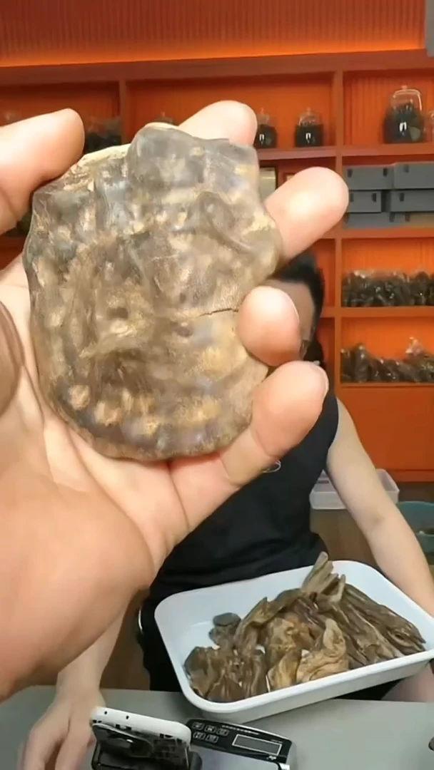 沉香摆件b1号多样性发一