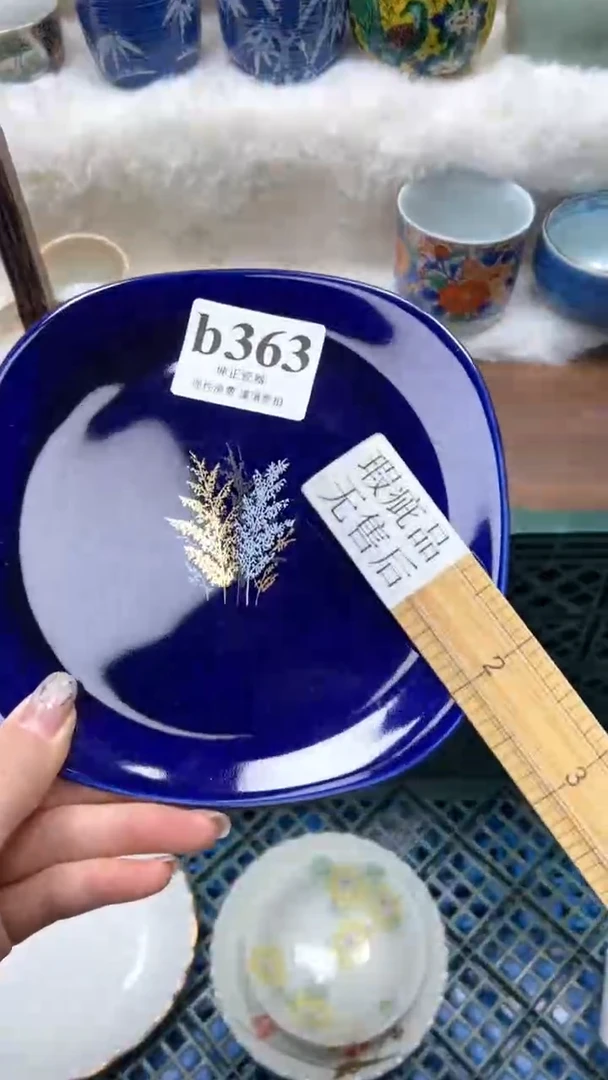 【闪购商品】瓷片          b363