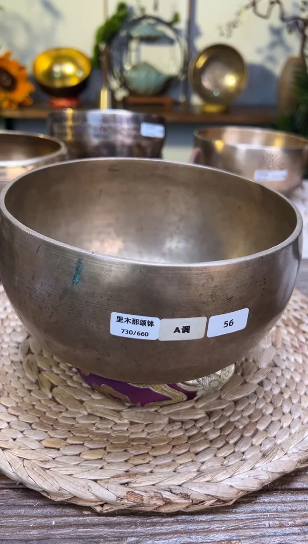 【闪购商品】里木那口径17CM-A调（无配件）