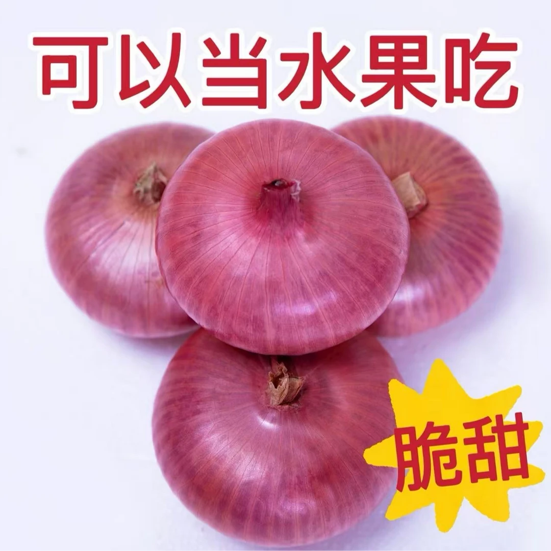 （精品扁平水果洋葱）新鲜现挖甜辣时令蔬菜农家自种5斤食用