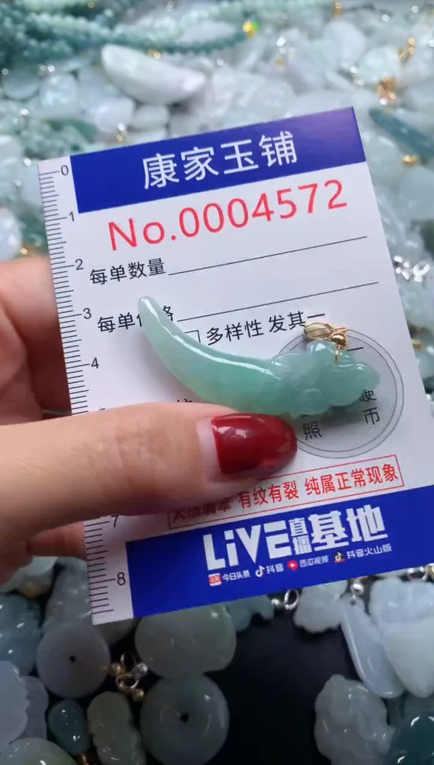 颈饰未镶嵌翡翠4572