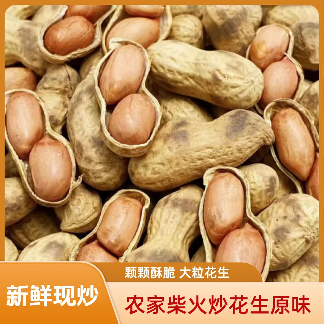 正宗【柴火炒花生】黄河大白沙高品质带壳原味现炒800g