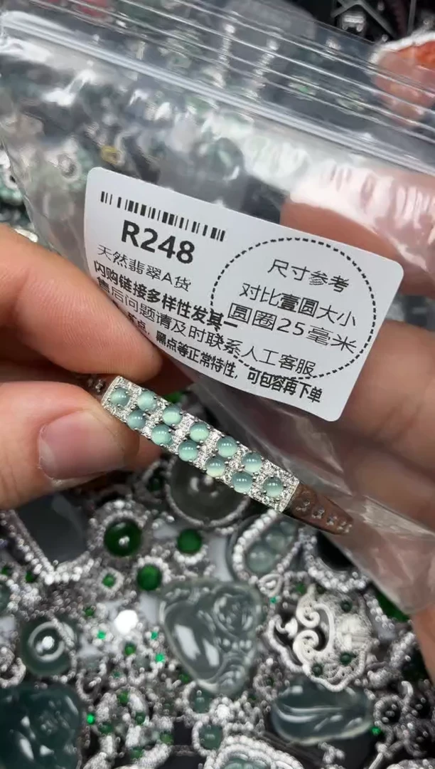 颈饰未镶嵌翡翠R248手镯