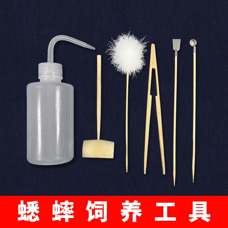 蟋蟀用具蛐蛐专用饲养工具提笼绒球鸣虫铲勺罐刷水壶竹夹喂养用品