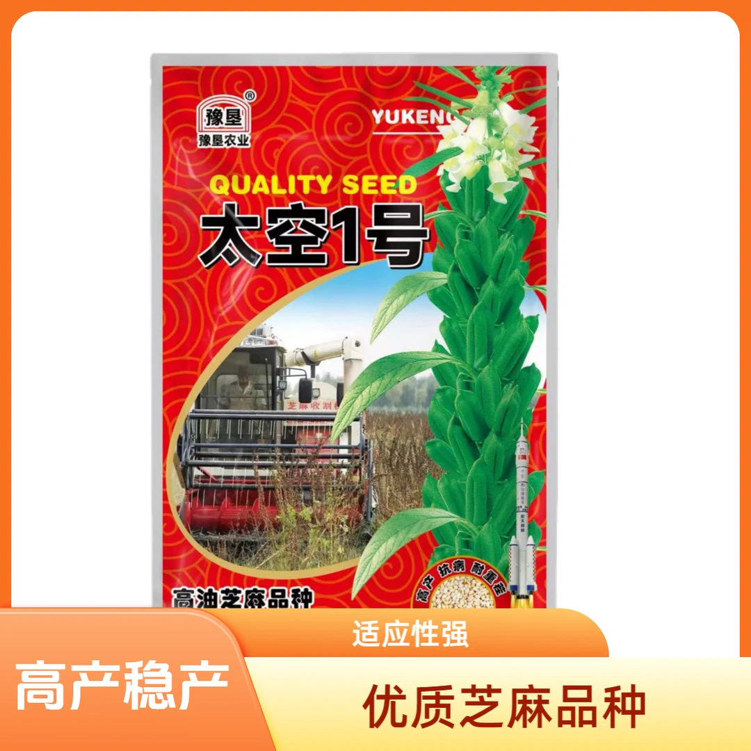 豫垦太空1号高油种子芝麻种抗裂朔，抗落粒，宜机收粮油作物种子