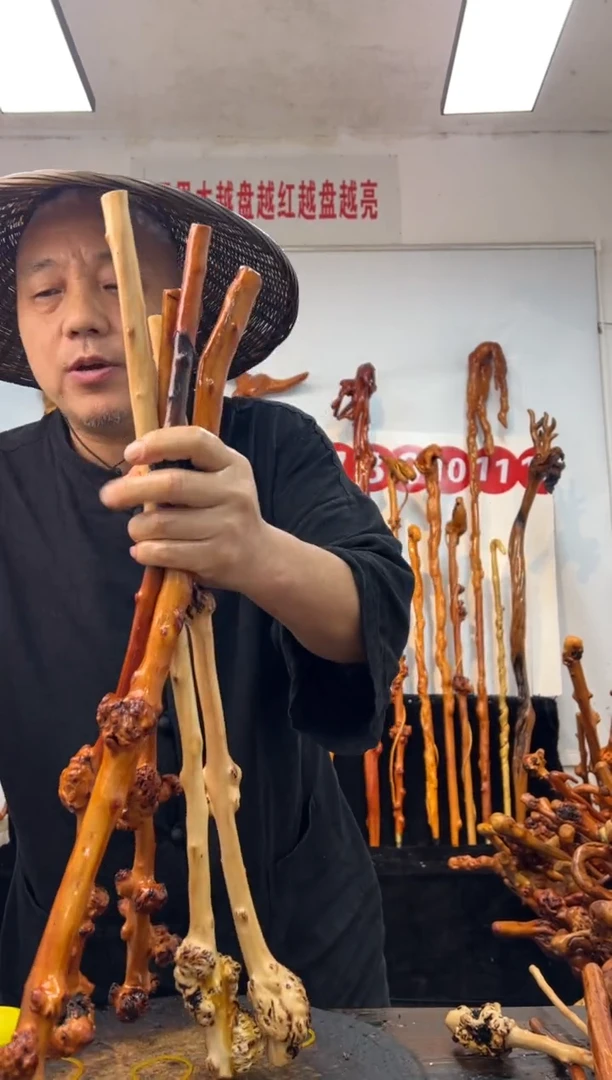 黑果木其他黑果木855