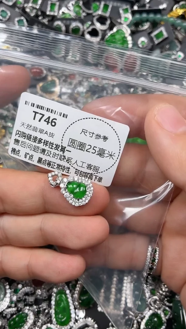 翡翠未镶嵌颈饰T746吊坠