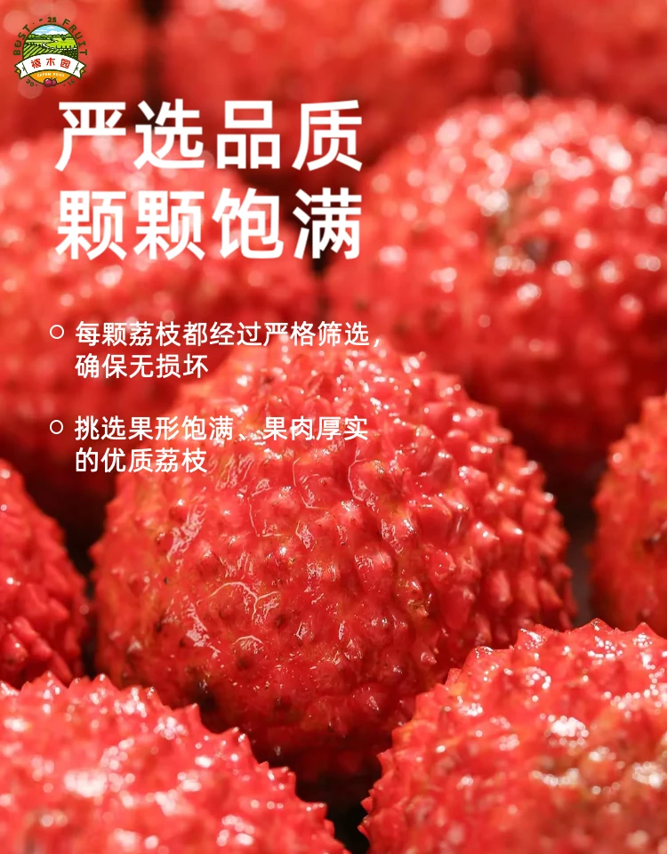 【省外顺丰空运】正宗高州老树桂味头茬果荔枝