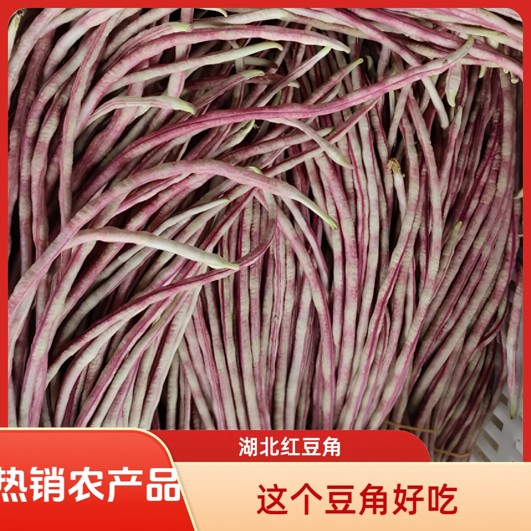 老品种头茬红豇豆红豆角美味现摘现当季当季南方农家菜