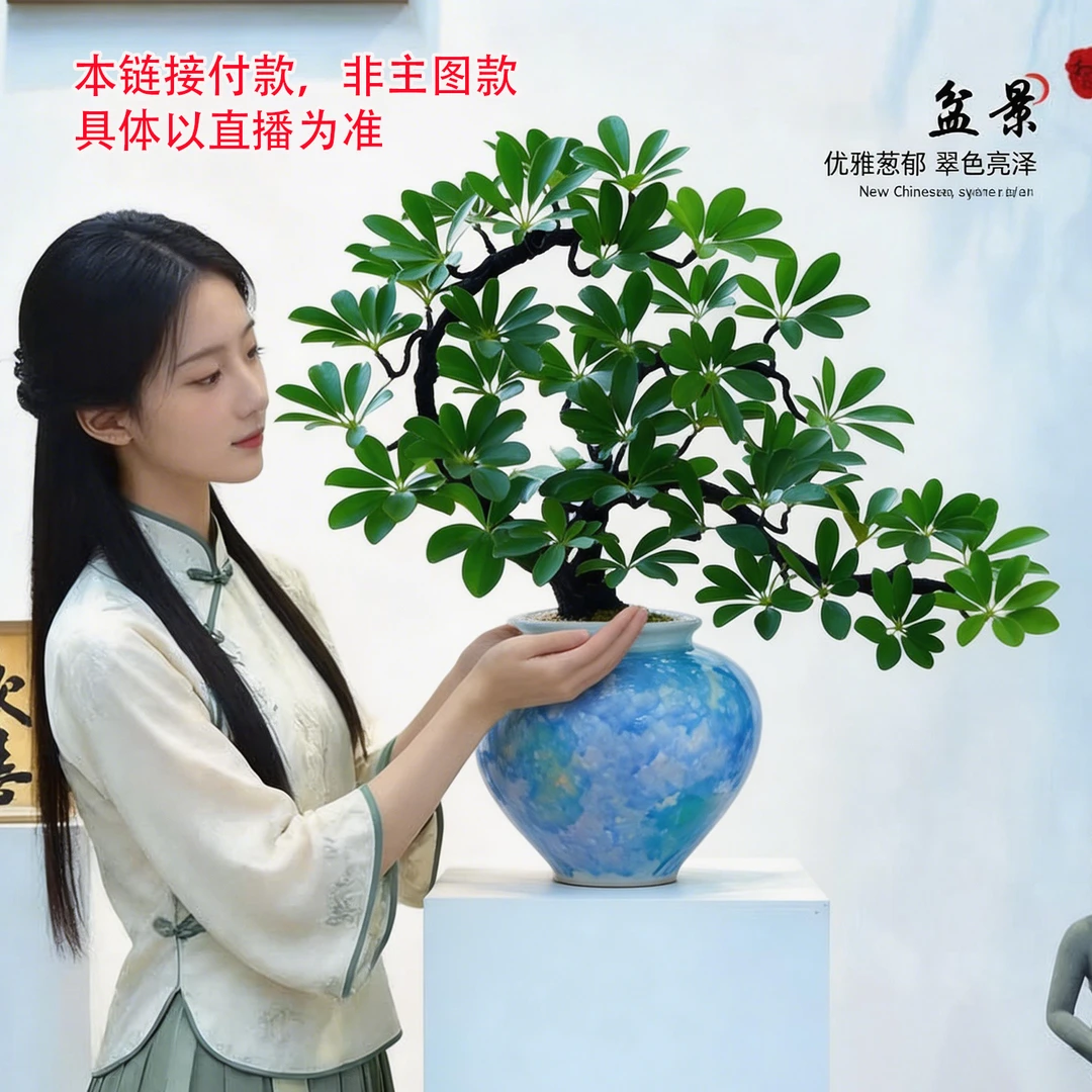 【悬崖八方来财】客厅室内办公桌面四季好养鸭脚木植物绿植花卉盆栽
