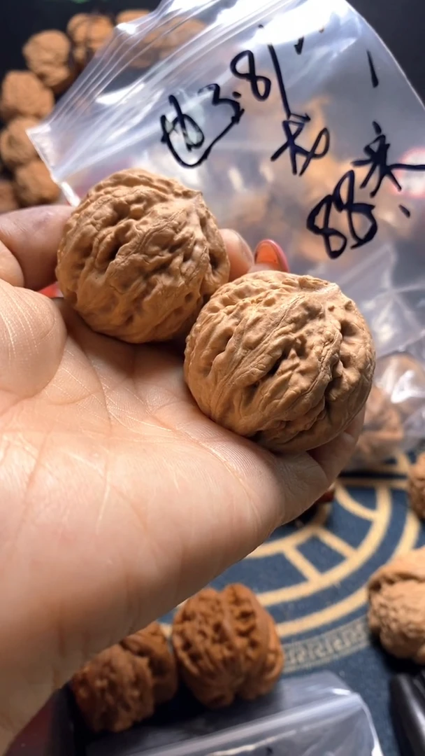 文玩核桃把件全品霸王龙