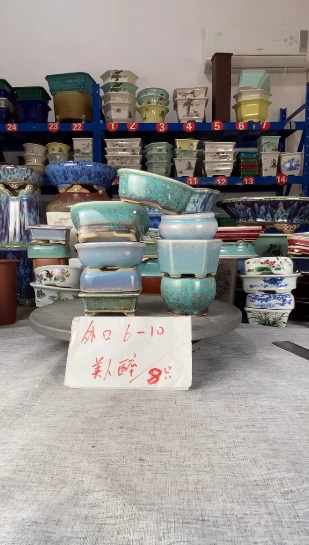 92729八只美人醉花盆