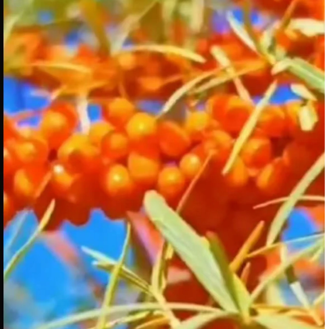 未拆封  盒装维生素C