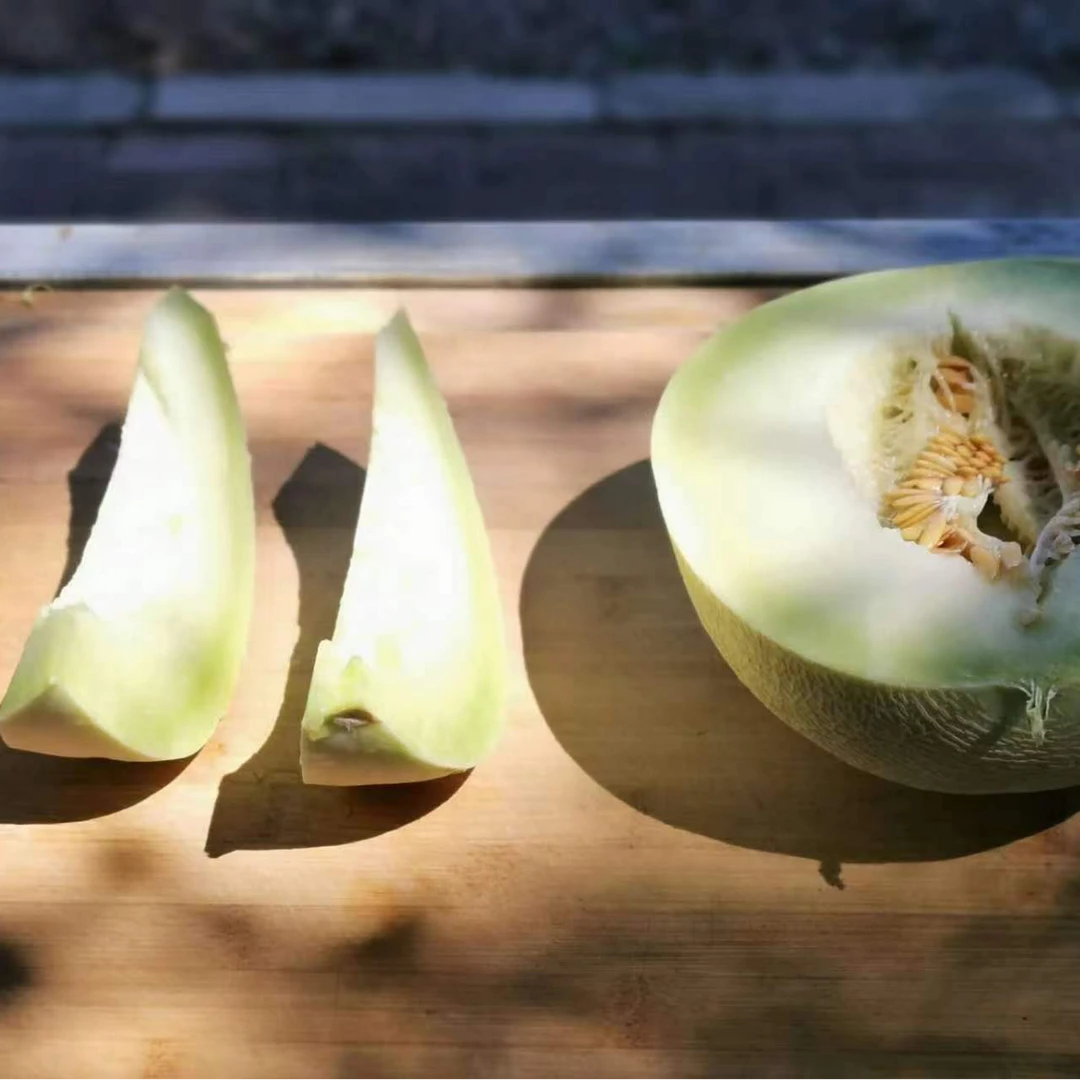 致良田出品·大漠生态蜜瓜【白银蒂】