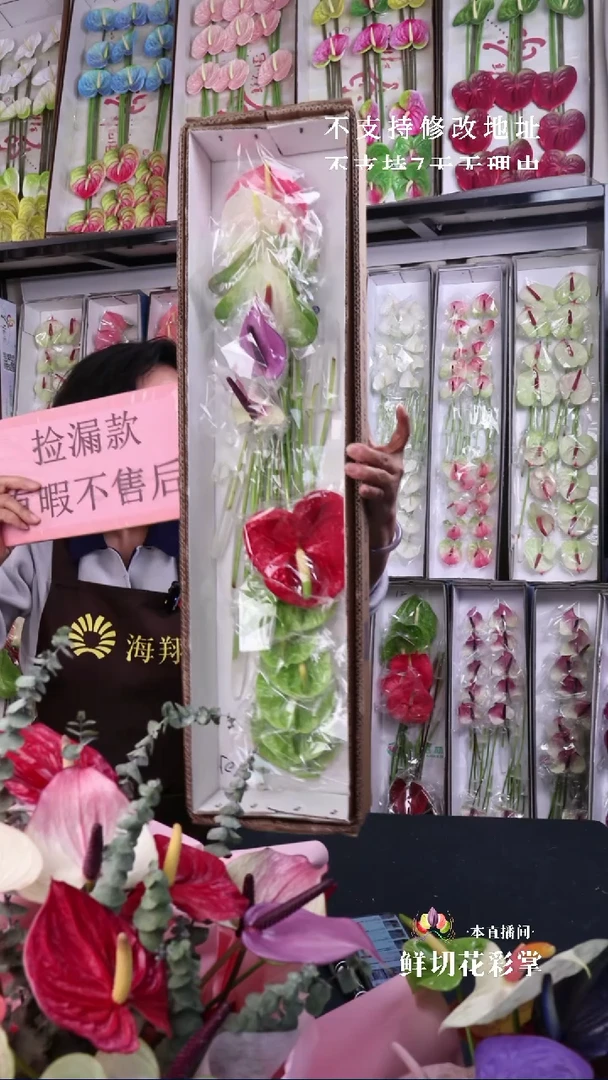 H05混色彩掌16支小掌，微瑕无售后