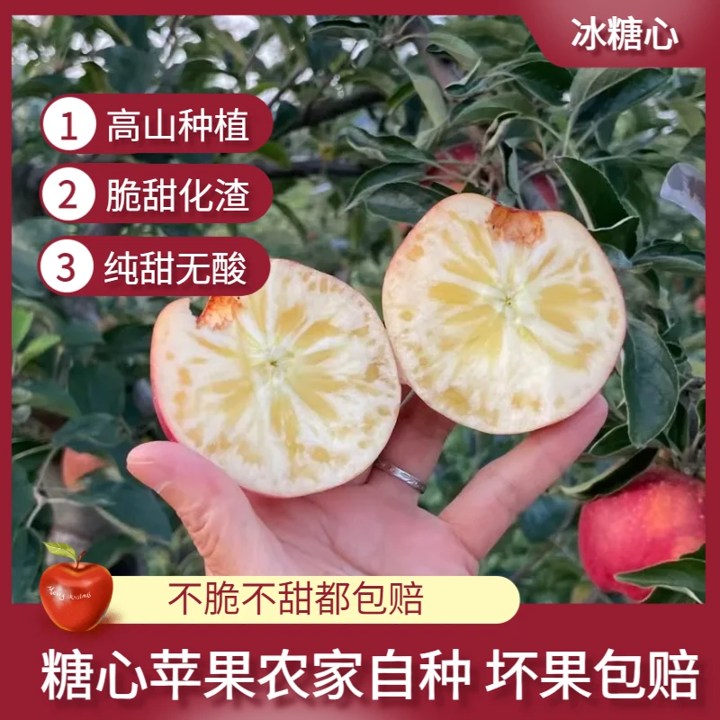 云南昭通冰糖心苹果当季应季新鲜水果自然成熟甜脆多汁现摘现发