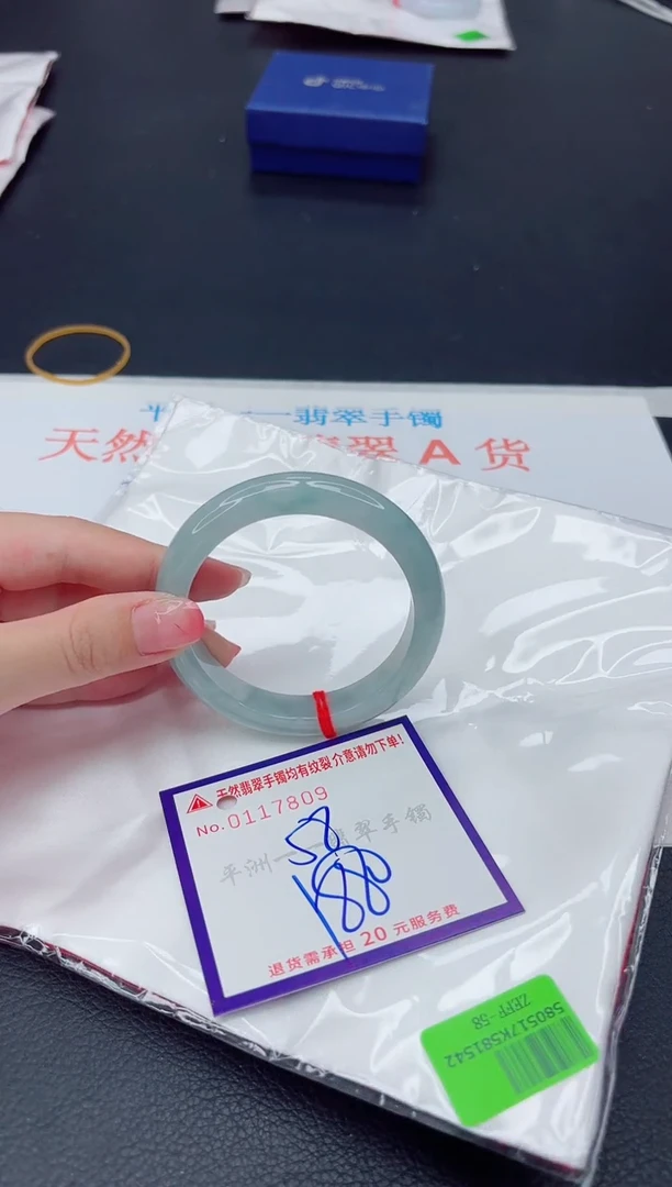 未镶嵌手镯翡翠1