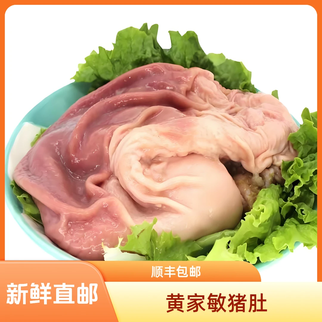 【大猪肚】新鲜猪肚三个装，约4.5斤±1两（约35/斤）火锅食材