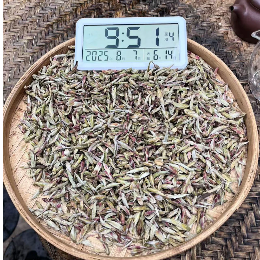 B888-2024年大雪山千年老妖野生紫芽苞白茶散茶100克8月7