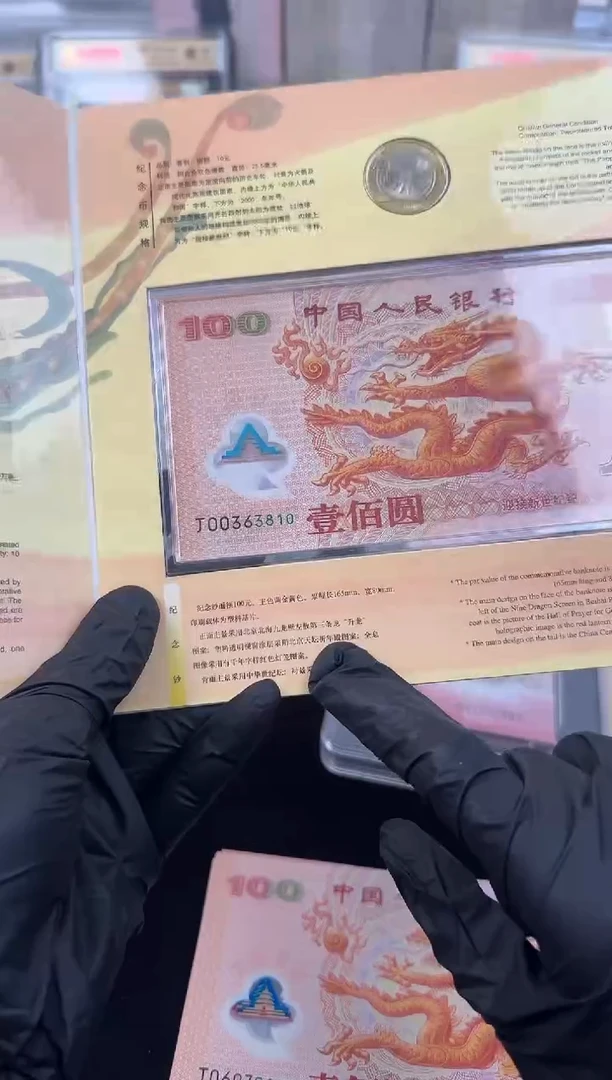 纸大龙一张啊啊啊啊