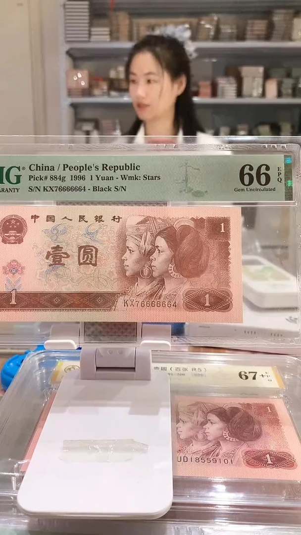 961KX76666664  PMG66  大象身