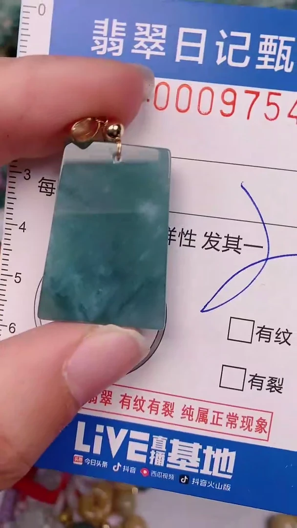 【闪购商品】翡翠颈饰未镶嵌00009754